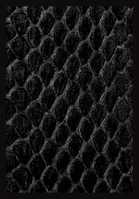 Gloss Sleeve - Dragon Hide Black (50-Pack) - Legion Premium Supplies Card Sleeves - Card Sleeves card