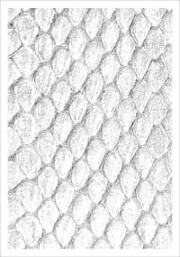 Gloss Sleeve - Dragon Hide White (50-Pack) - Legion Premium Supplies Card Sleeves - Card Sleeves card