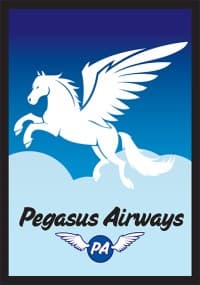 Gloss Sleeve - Pegasus Airways (50-Pack) - Legion Premium Supplies Card Sleeves - Card Sleeves card