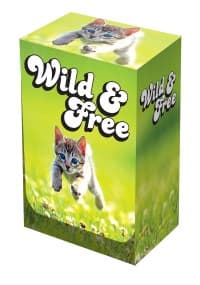 Deck Box - Kitten - Legion Premium Supplies Deck Boxes - Deck Boxes card