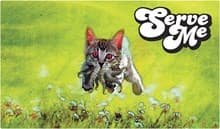 Rubber Playmat - Serve Me - Legion Premium Supplies Playmats - Playmats card