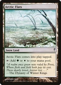 Arctic Flats - Coldsnap - Magic: The Gathering card