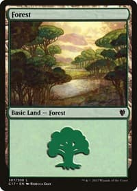 Forest (307) - Commander 2017 - Magic: The Gathering card