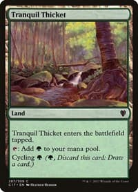 Tranquil Thicket - Commander 2017 - Magic: The Gathering card