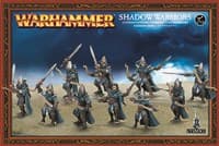 Warhammer: High Elf Shadow Warriors - Warhammer Plastic Box Sets - Warhammer Box Sets card