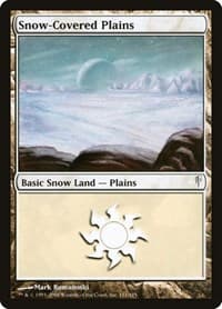 Snow-Covered Plains - Coldsnap - Magic: The Gathering card