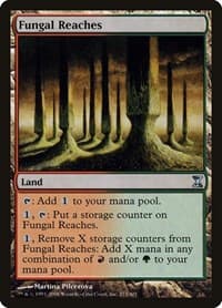 Fungal Reaches - Time Spiral - Magic: The Gathering card