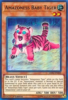 Amazoness Baby Tiger - Legendary Duelists - YuGiOh card