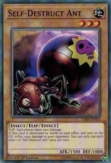 Self-Destruct Ant - Circuit Break - YuGiOh card