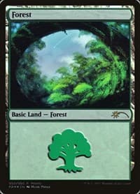 Forest (2017 Gift Pack - Poole) - Gift Boxes and Promos - Magic: The Gathering card