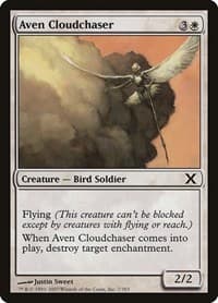 Aven Cloudchaser - 10th Edition - Magic: The Gathering card