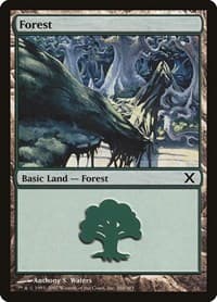 Forest (380) - 10th Edition - Magic: The Gathering card