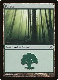 Forest (381) - 10th Edition - Magic: The Gathering card