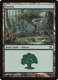 Forest (382) - 10th Edition - Magic: The Gathering card