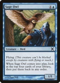 Sage Owl - 10th Edition - Magic: The Gathering card