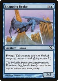 Snapping Drake - 10th Edition - Magic: The Gathering card
