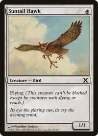 Suntail Hawk - 10th Edition - Magic: The Gathering card
