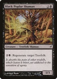 Black Poplar Shaman - Lorwyn - Magic: The Gathering card