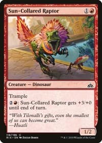 Sun-Collared Raptor - Rivals of Ixalan - Magic: The Gathering card