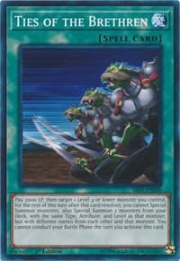 Ties of the Brethren - Structure Deck: Wave of Light - YuGiOh card