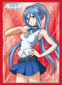 Bushiroad Sleeve Collection HG Vol.1010: Arpeggio of Blue Steel: Ars Nova DC - Takao (60-Pack) - Bushiroad Card Sleeves - Card Sleeves card