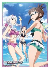 Bushiroad Sleeve Collection HG Vol.1069: The IDOLM@STER - Ritsuko & Takane & Azusa (60-Pack) - Bushiroad Card Sleeves - Card Sleeves card