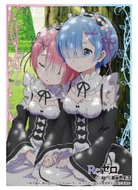 Bushiroad Sleeve Collection HG Vol.1143: Re:ZERO - Rem & Ram (60-Pack) - Bushiroad Card Sleeves - Card Sleeves card