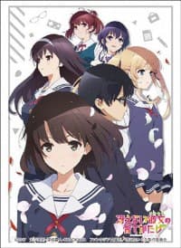 Bushiroad Sleeve Collection HG Vol.1302: Saekano: How to Raise a Boring Girlfriend Flat (60-Pack) - Bushiroad Card Sleeves - Card Sleeves card