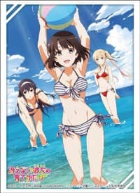 Bushiroad Sleeve Collection HG Vol.1304: Saekano: How to Raise a Boring Girlfriend Flat (60-Pack) - Bushiroad Card Sleeves - Card Sleeves card