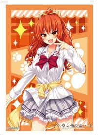 Bushiroad Sleeve Collection HG Vol.1323: Nora to Oujo no Noraneko Heart - Yuuki Asuhara (60-Pack) - Bushiroad Card Sleeves - Card Sleeves card