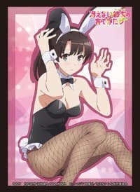 Bushiroad Sleeve Collection HG Vol.1324: Saekano: How to Raise a Boring Girlfriend Flat - Megumi Kato (60-Pack) - Bushiroad Card Sleeves - Card Sleeves card
