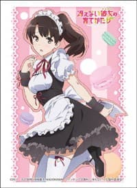 Bushiroad Sleeve Collection HG Vol.1325: Saekano: How to Raise a Boring Girlfriend Flat - Megumi Kato (60-Pack) - Bushiroad Card Sleeves - Card Sleeves card
