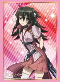Bushiroad Sleeve Collection HG Vol.1369: Knight's & Magic - Adeltrud Alter (60-Pack) - Bushiroad Card Sleeves - Card Sleeves card