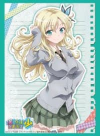 Bushiroad Sleeve Collection HG Vol.492: Haganai NEXT - Sena Kashiwazaki (60-Pack) - Bushiroad Card Sleeves - Card Sleeves card