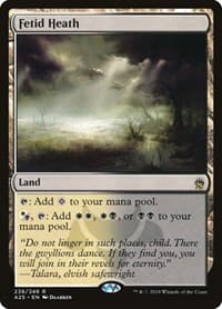 Fetid Heath - Masters 25 - Magic: The Gathering card