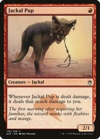 Jackal Pup - Masters 25 - Magic: The Gathering card