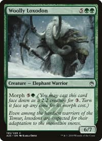 Woolly Loxodon - Masters 25 - Magic: The Gathering card