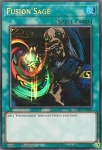 Fusion Sage - Legendary Collection Kaiba - YuGiOh card