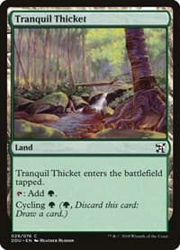 Tranquil Thicket - Duel Decks: Elves vs. Inventors - Magic: The Gathering card