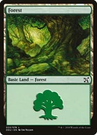 Forest (033) - Duel Decks: Elves vs. Inventors - Magic: The Gathering card