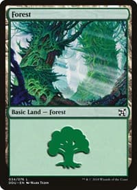 Forest (034) - Duel Decks: Elves vs. Inventors - Magic: The Gathering card