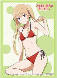 Bushiroad Sleeve Collection HG Vol.1482: How to Raise a Boring Girlfriend Flat - Eriri Spencer Sawamura (Swimsuit) (60-Pack) - Bushiroad Card Sleeves - Card Sleeves card