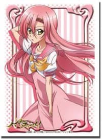 Bushiroad Sleeve Collection HG Vol.554: Hayate the Combat Butler - Hinagiku Katsura (60-Pack) - Bushiroad Card Sleeves - Card Sleeves card