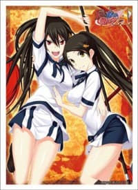 Bushiroad Sleeve Collection HG Vol.623: Maji de Watashi ni Koi Shinasai! A - Seiso Hazakura (60-Pack) - Bushiroad Card Sleeves - Card Sleeves card