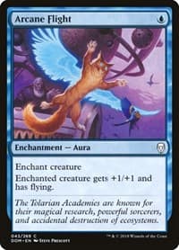 Arcane Flight - Dominaria - Magic: The Gathering card
