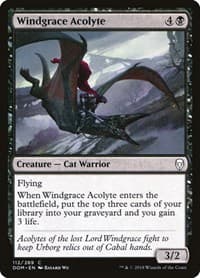 Windgrace Acolyte - Dominaria - Magic: The Gathering card