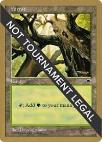Forest (Skyward) - 1999 Matt Linde (TMP) - World Championship Decks - Magic: The Gathering card