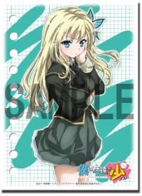 Bushiroad Sleeve Collection HG Vol.172: Haganai - Sena Kashiwazaki (60-Pack) - Bushiroad Card Sleeves - Card Sleeves card