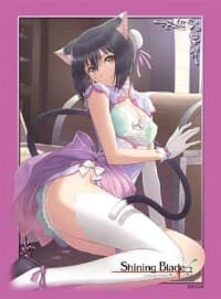 Bushiroad Sleeve Collection HG Vol.420: Shining Blade - Lin Lin (60-Pack) - Bushiroad Card Sleeves - Card Sleeves card