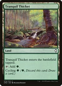 Tranquil Thicket - Commander Anthology Volume II - Magic: The Gathering card